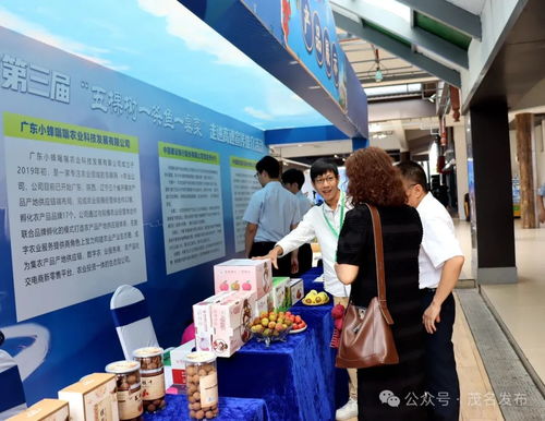 茂名鄉村振興出圈出彩，茂湛高速服務區變身農特產墟市與票務代理服務